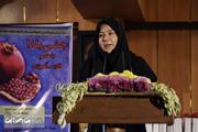 جشن یلدای فارسی‌آموزان خارجی مرکز آزفای دانشگاه علامه طباطبائی